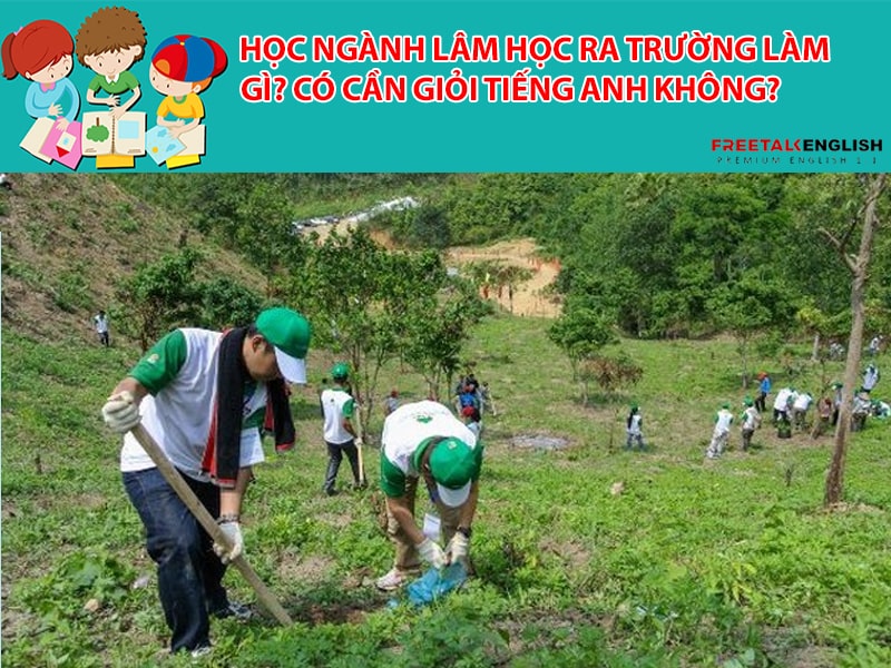 Học ngành Lâm học ra trường làm gì? Có cần giỏi Tiếng Anh không?