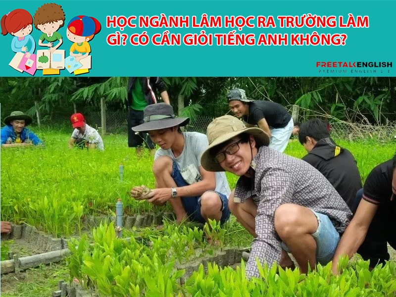 Học ngành Lâm học ra trường làm gì? Có cần giỏi Tiếng Anh không?