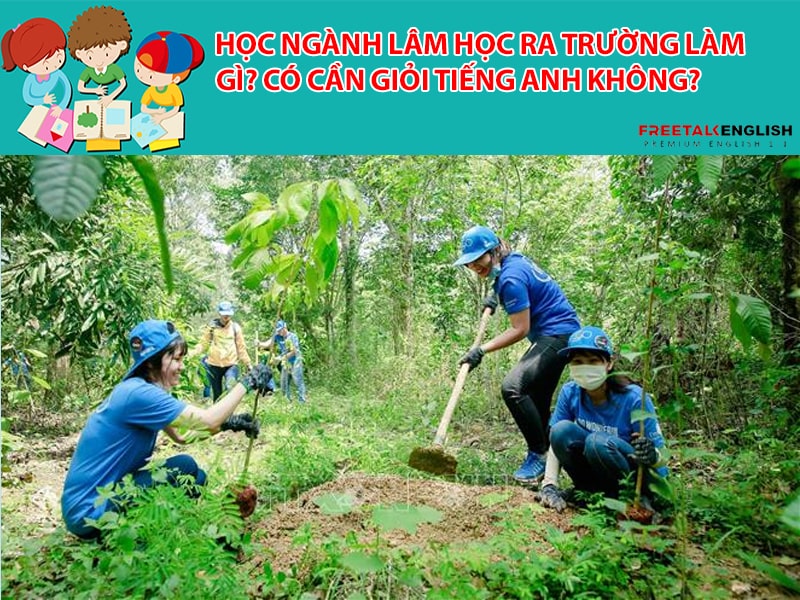 Học ngành Lâm học ra trường làm gì? Có cần giỏi Tiếng Anh không?