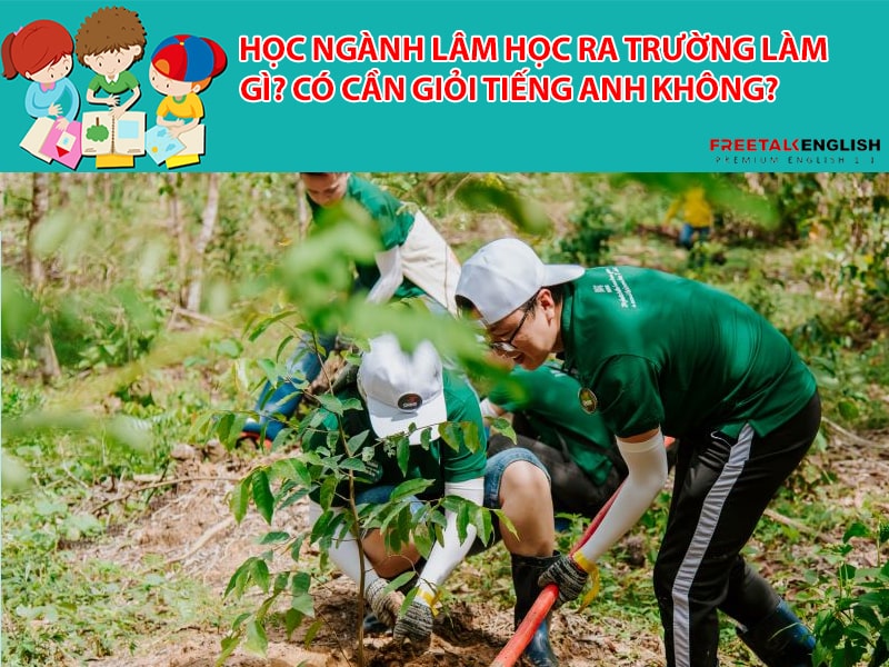 Học ngành Lâm học ra trường làm gì? Có cần giỏi Tiếng Anh không?