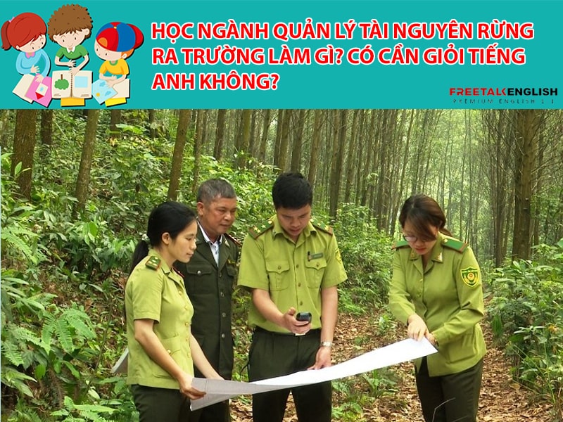 Học ngành quản lý tài nguyên rừng ra trường làm gì? Có cần giỏi Tiếng Anh không?