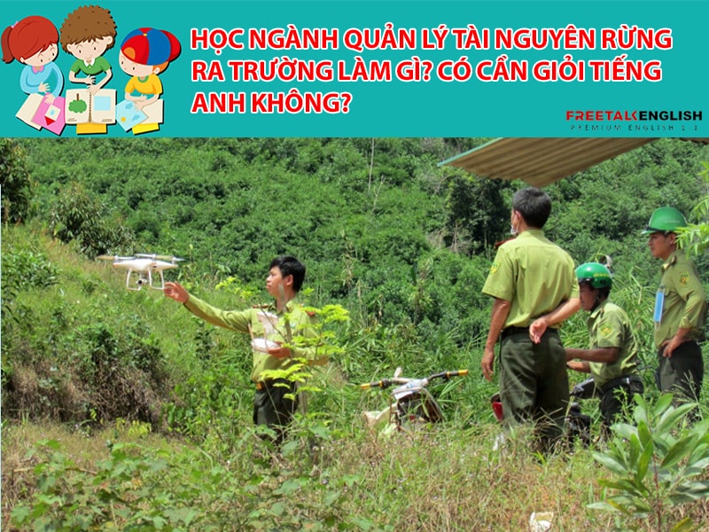 Học ngành quản lý tài nguyên rừng ra trường làm gì? Có cần giỏi Tiếng Anh không?