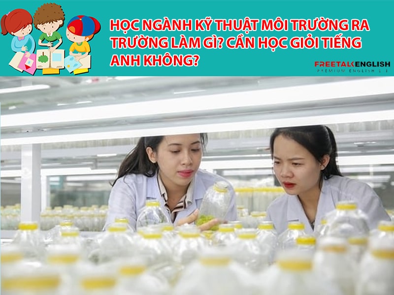 Học ngành Kỹ thuật môi trường ra trường làm gì? Cần học giỏi Tiếng Anh không?