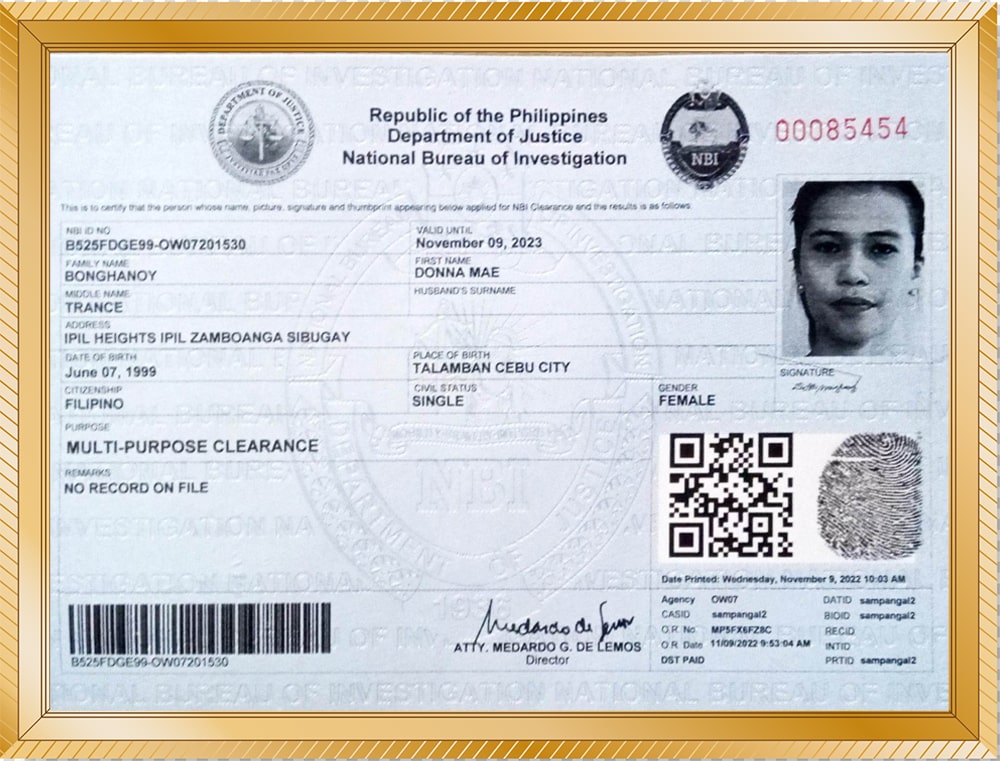 Giáo viên Donna Mae Bonghanoy