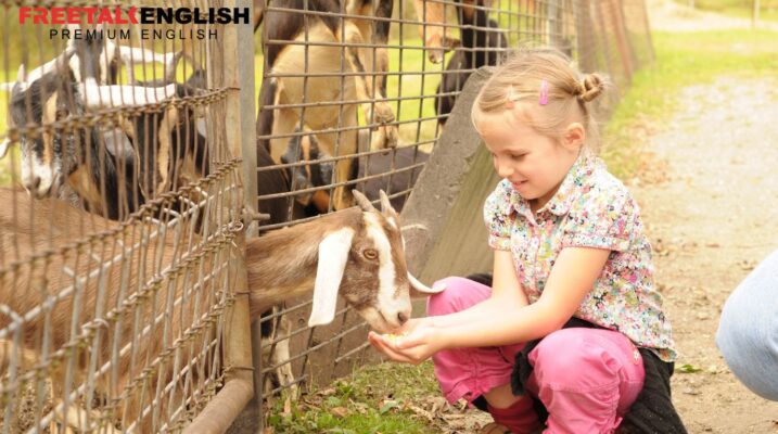 tiếng anh cho trẻ em hà nội